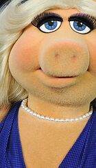 misspiggy.jpg