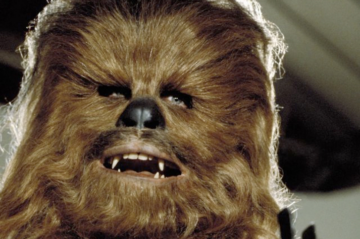 chewie.png