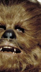 chewie.png